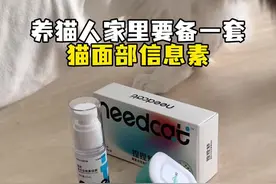详细讲解一下猫面部信息素的使用场景 #养猫人 #必备好物 #无限回购的宝藏单品 #猫应激 #猫传腹