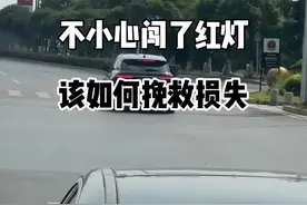 不小心闯了红灯，该如何挽救损失？#交通规则 #闯红灯 #新手上路 #汽车知识 #每天一个用车知识 @抖音汽车视频封面