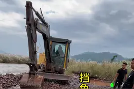 挡鱼啦 大工程！ 今天朋友们下河挡鱼，动用挖机，这么大的工程收获有点意外！#农村生活 #农村美食 #记录真实生活 #我的乡村生活视频封面