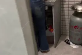 番茄炒蛋  好吃到汤汁都不剩  酸酸甜甜超下饭#抖音美食推荐官 #美食教程 #美食#家常菜视频封面