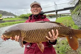 在野外碰到大鱼该怎么办😂#原来钓鱼才是抖音运动顶流视频封面