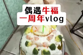 偶遇牛福一周年vlog #我的乡村生活