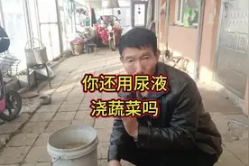 你还在用尿液浇蔬菜吗？别随便了，记住这几点 #新农人计划2024视频封面