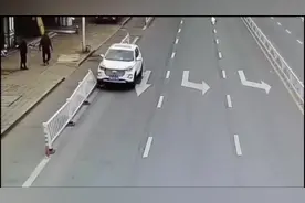 听说自动档的车狗都能开，现在我信了😂😂#自动挡 #边牧视频封面
