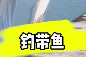 钓带鱼 养啥海水鱼自已钓 #海洋生物 #原来钓鱼才是抖音运动顶流