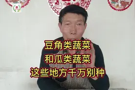豆角类和瓜类蔬菜，记住别在这些地方种植，种上就后悔 #上热门视频封面