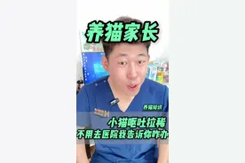 小猫就吐一下，或是拉个稀你老往医院抱啥？不严重的教你在家咋整#新手养猫 #养猫人 #我和我的猫 #养猫经验分享视频封面