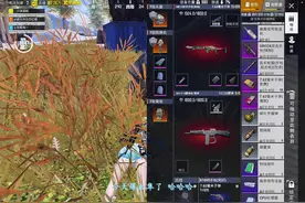 我也有血隼了哈哈哈#和平精英教学#和平精英流浪地球