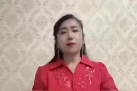 #河南坠子视频封面