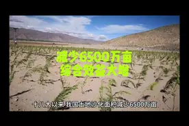 沙漠变绿洲6500亩 十八大以来，我国土地沙化面积减少 6500 万亩