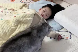 掀开被子就知道往幼崽怀里钻#猫和孩子 #猫为什么对小孩这么好 #心思全写在脸上的猫 #猫咪带娃 #超有爱视频封面