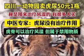 四川一动物园卖虎尿50元1瓶，中医专家：虎尿没有治疗作用，虎骨可以治疗风湿，但属于禁用物质