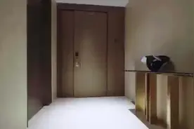 #奢华大平层装修效果图 #精品样板房设计图