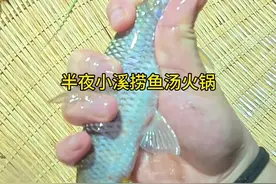 半夜饿了，小溪捞鱼，和老辈子面对面烫火锅吃，真香啊#捞鱼 #农村美食  #夜宵 #真实户外 #创作灵感视频封面