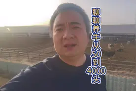 从50头到4000头牛需要经历什么？今天咱们到现场聊聊#养牛#畜牧业视频封面