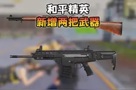 和平精英新增两把武器“M1加兰德和ARX突击步枪”！