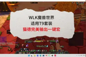 魔兽世界 猫德输出一键宏，只适用T9套，技能衔接非常完满