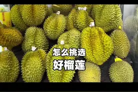 榴莲季马上要来了，金枕榴莲怎么挑？重温一下 #榴莲 #挑榴莲视频封面