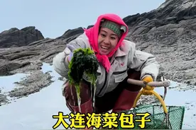 带你们看看，回岛的这天，海岛妈妈做的大连版海菜包子，又能有多鲜#2024新农人计划 #赶海#海边生活#海鲜美食视频封面