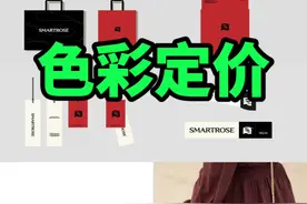 品牌色彩对品牌调性的影响 如何选定一款品牌色彩为你品牌所用，决定你的品牌调性和方向，如果是打造高端品牌你的品牌色彩可以选用更奢侈的色彩#品牌设计 #色彩搭配 #品牌vi设计 #高级感设计视频封面