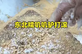 你别管 东北人有自己的货币 这么好吃的糯叽叽驴打滚 谁能拒绝得了啊#谁不爱这一口糯叽叽呢 #巨好吃的老式糕点视频封面