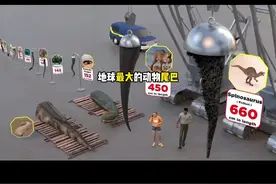 最长的尾巴#你不知道的冷知识 #科普 #神奇动物