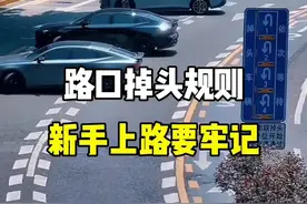 路口掉头规则，新手上路要牢记。#驾驶技巧 #新手上路 #带你懂车 #路口掉头规则 #每天一个用车知识 @抖音汽车