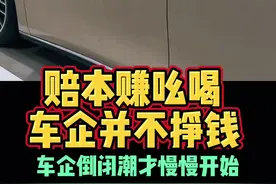 新能源车企倒闭潮真的要开始了么 #带你懂车 #新能源 #新势力 #国产车 #新能源汽车视频封面