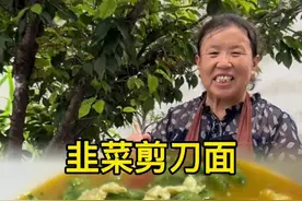 今天给大家分享韭菜剪刀面的做法，劲道十足汤鲜味美#韭菜剪刀面 #乡村美食满满的烟火气 #新农人计划2025 #抖音新农人