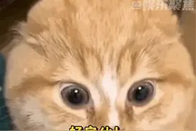 愚人节站姐团建，有的站姐，真的有一种干完这票就不干了的架势🤣视频封面