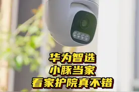 没想到只花三百多就能给家里请2个智能保安，这下可以放心出门玩了！#华为智选小豚当家#农村自建房#双摄像头