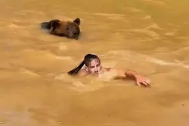 这头熊应该不饿！人类游泳100米最快要46秒，棕熊只要36秒 ……水里被熊追，逃生机会小。棕熊游泳速度比人快，耐力比人强，更绝望的是棕熊在水中视力很好，想潜水摆脱也不可能。所以君子不立危墙之下，如果手无寸铁，就远离熊出没地区 #防熊科普 #熊出没 #棕熊