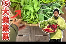 小菜园吃不完（秋冬季）5大类蔬菜种植分享 #楼顶菜园 #楼顶种菜#种菜小技巧 #蔬菜种植 #阳台种菜指南视频封面