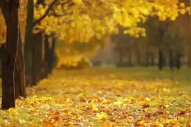 2024年杭州e类人才认定条件，符合这些条件都可以申请，福利多多