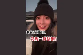 我在西藏阿里无人区发现一群猞猁！ 你敢相信吗！你们见过这种动物吗！#西藏旅游 #旅行vlog #保护野生动物