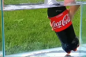 #可乐的妙用 #生活小妙招 #清洁 #污渍轻松去除 #清洁小妙招