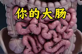 你是否了解你的大肠#人体结构 #人体奥秘 #生命科学