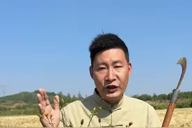 这个就是被人们称为民间一宝的鬼针草了，他有什么价值你知道吗？#植物科普 #鬼针草功效与作用 #鬼针草
