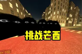 挑战芒西 #盖瑞模组完整版#233乐园#游戏#芒西家族#NPC