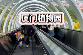 厦门植物园自动挡爬山攻略 从植物园南门，坐电梯直接上山，从上往下游览，最后从西门出来，不用走回头路#厦门植物园 #厦门旅游 #一起去春游 #万物皆可种草搜视频封面