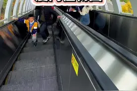 厦门植物园自动挡爬山攻略 从植物园南门，坐电梯直接上山，从上往下游览，最后从西门出来，不用走回头路#厦门植物园 #厦门旅游 #一起去春游 #万物皆可种草搜视频封面