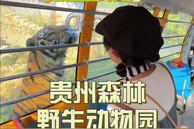 【贵阳周边游】能和很多小动物亲密接触的动物园，也太好逛啦！#心动贵野 #国庆亲子出行好去处#贵阳周边游遛娃好去处 #贵阳周边游玩景点推荐视频封面
