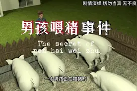 男孩正在喂猪 没想到一只猪竟然偷偷看自己 父亲得知后 竟然视频封面