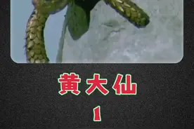 婴儿出生，将军把关 #我的观影报告 #电影解说 #古装片视频封面