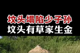 坟头草#民间故事 #灵异故事视频封面