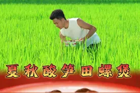 等了一个夏天的酸笋，终于遇见了秋天的田螺！这一锅煲的是时光的味道～#这是谁发明的猕猴桃新吃法 #丰收的味道在抖音 #本月饼脑袋已按时上线 #中秋的味道在抖音 #如果丰收农作物会说话