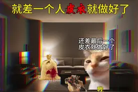 魔鬼的皮衣#猫meme #歌曲魑魅魍魉