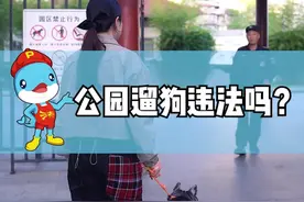 公园遛狗违法吗？ #普法小剧场 #文明养犬 #公园遛狗视频封面