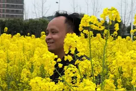 梦里百花开放，家乡油菜花田正浪漫，承载着几代人的回忆 #油菜花 #内容启发搜索 #春暖花开奔你而来 #有一种春天叫油菜花开 #油菜花的季节视频封面