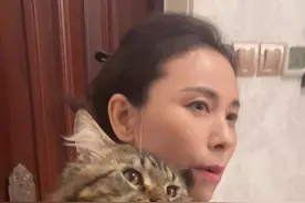 缅因猫从小到大的变化也太大了吧！！！ 没事哒没事哒，不过就是从长在我身上，变成了长在姥姥身上而已嘛！！！（呜呜）#缅因猫 #萌宠出道计划 #心思全写在脸上的猫 #记录猫咪日常 #猫咪的迷惑行为视频封面